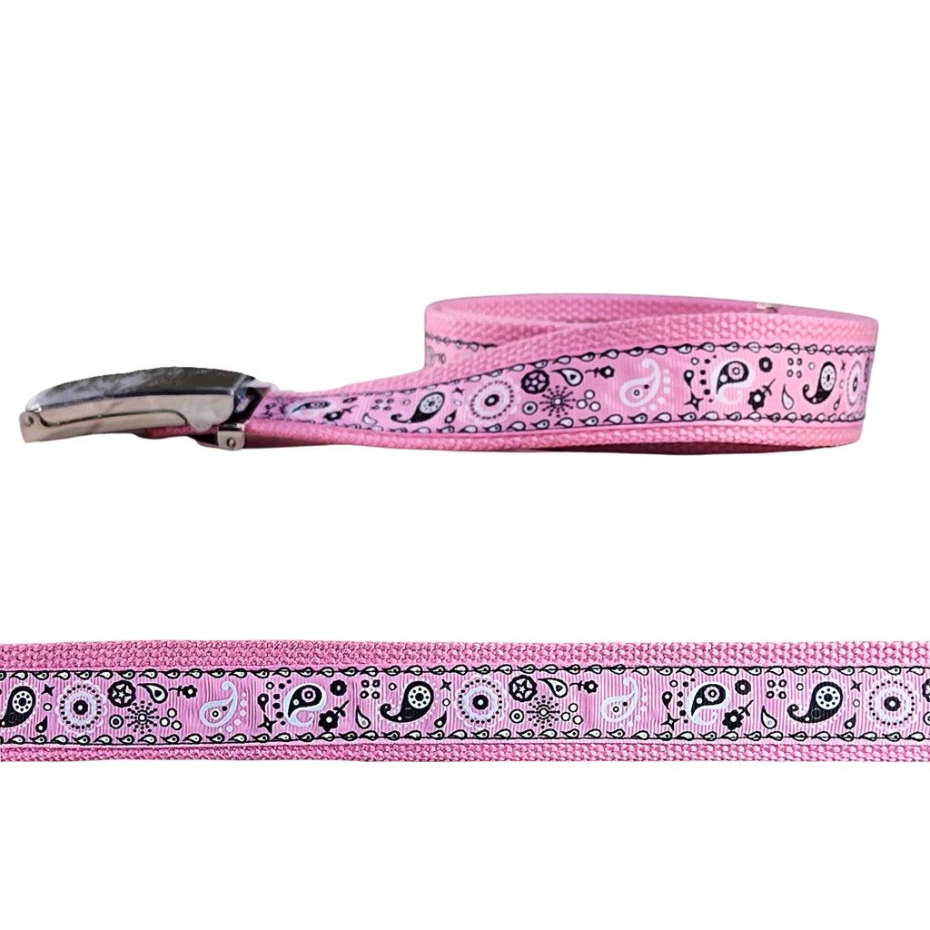 Pink Paisley Belt - Dapper Xpressions
