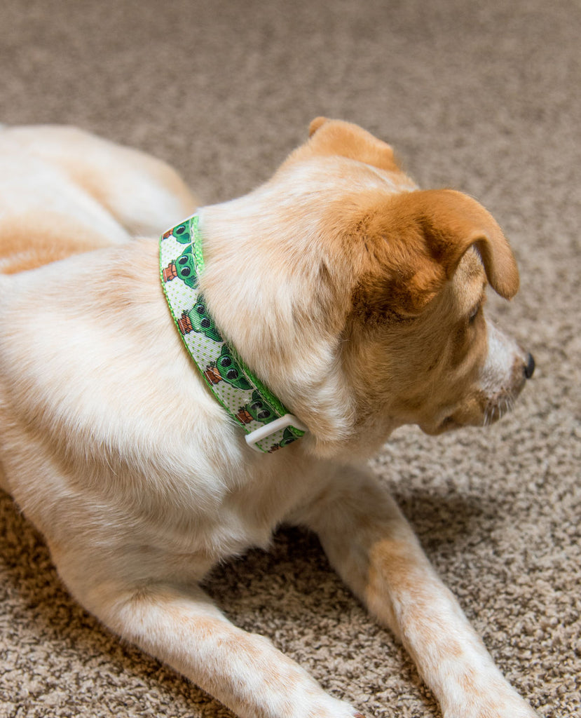 Baby Yoda One Inch Dog Collar - Dapper Xpressions