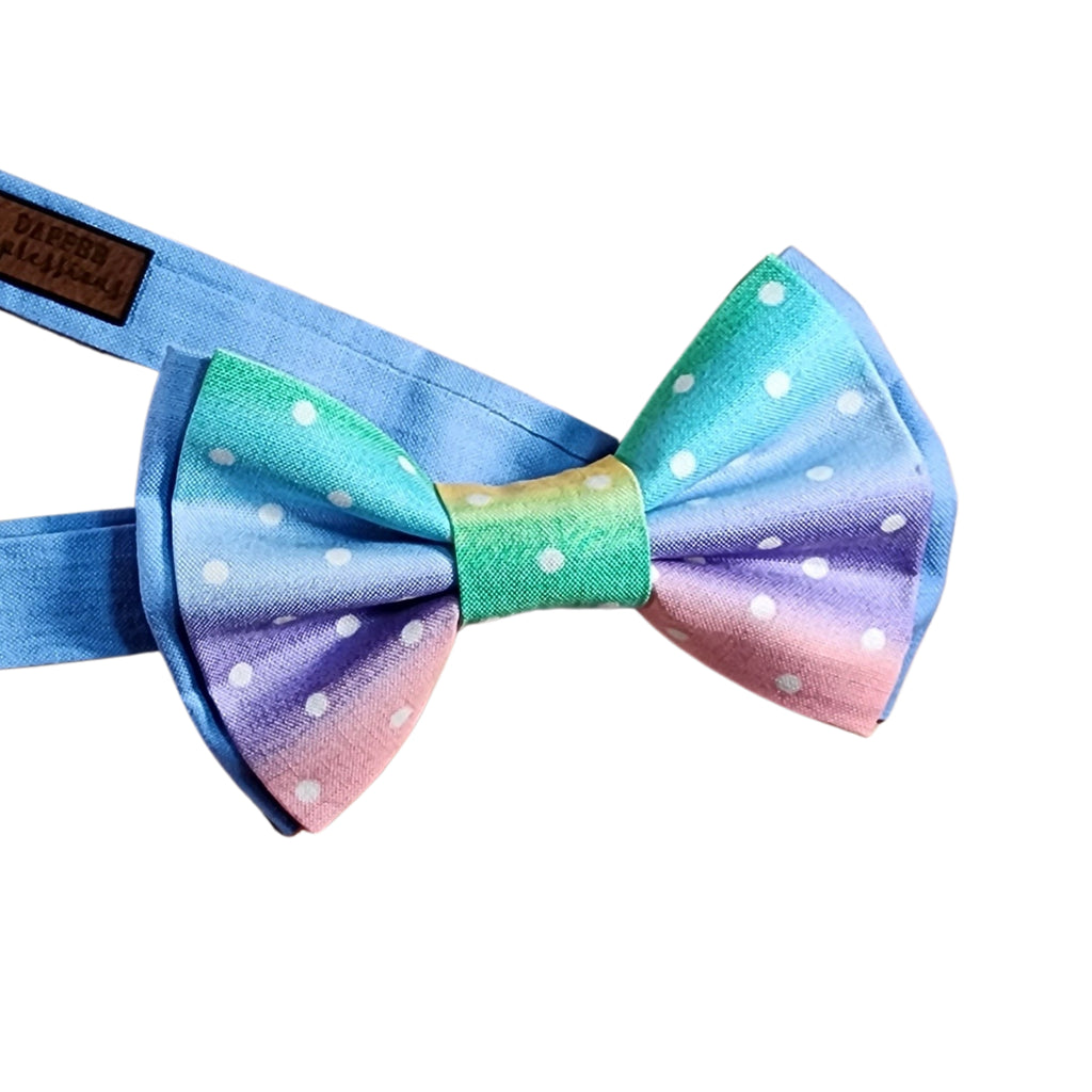 Pastel Rainbow Suspenders - Dapper Xpressions